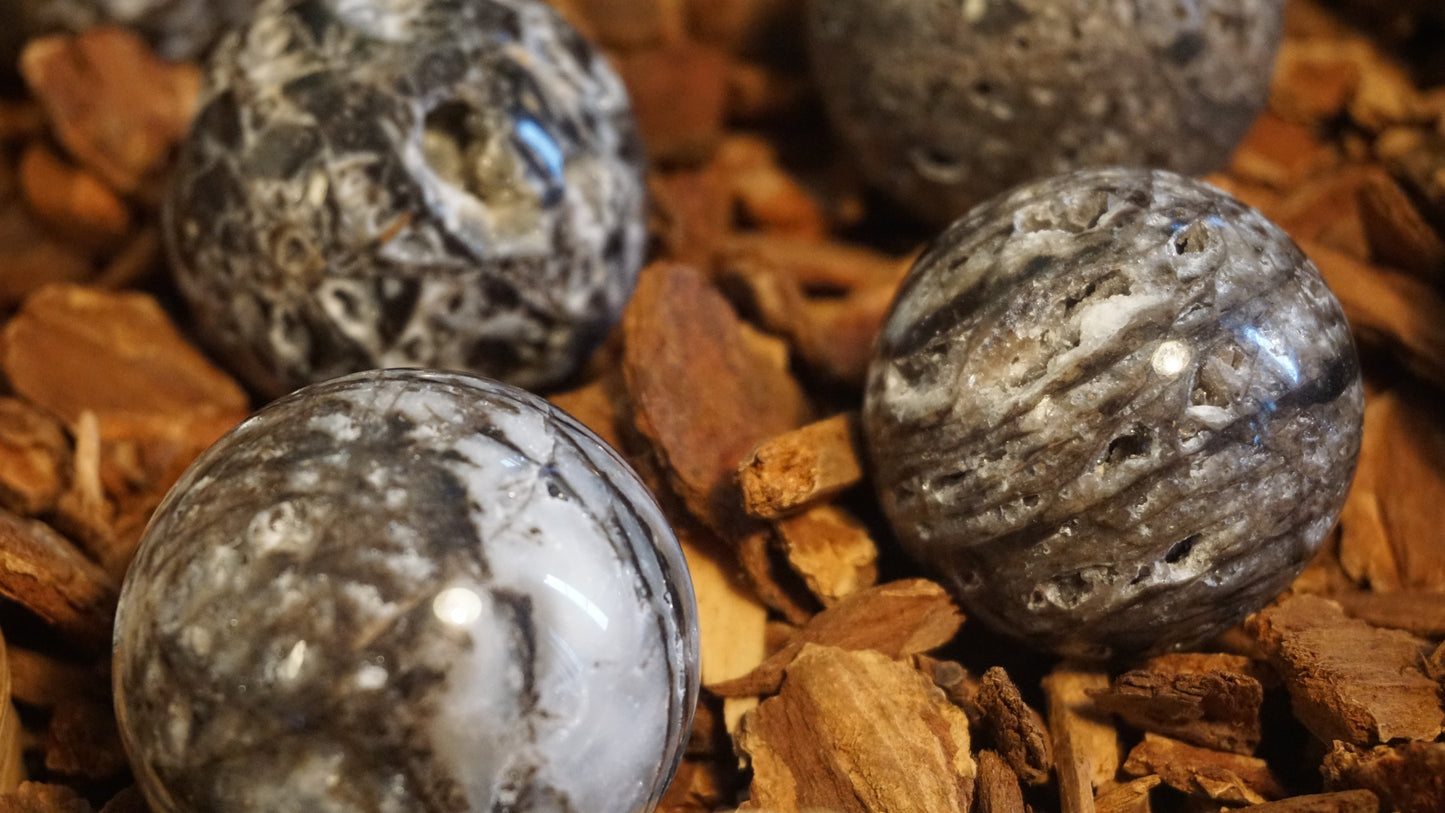 Private Customization Feng Shui Integration Plan · 2026