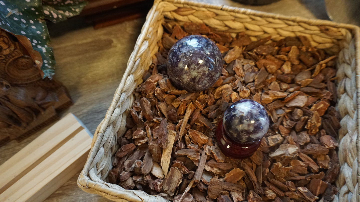 Private Customization Feng Shui Integration Plan · 2026