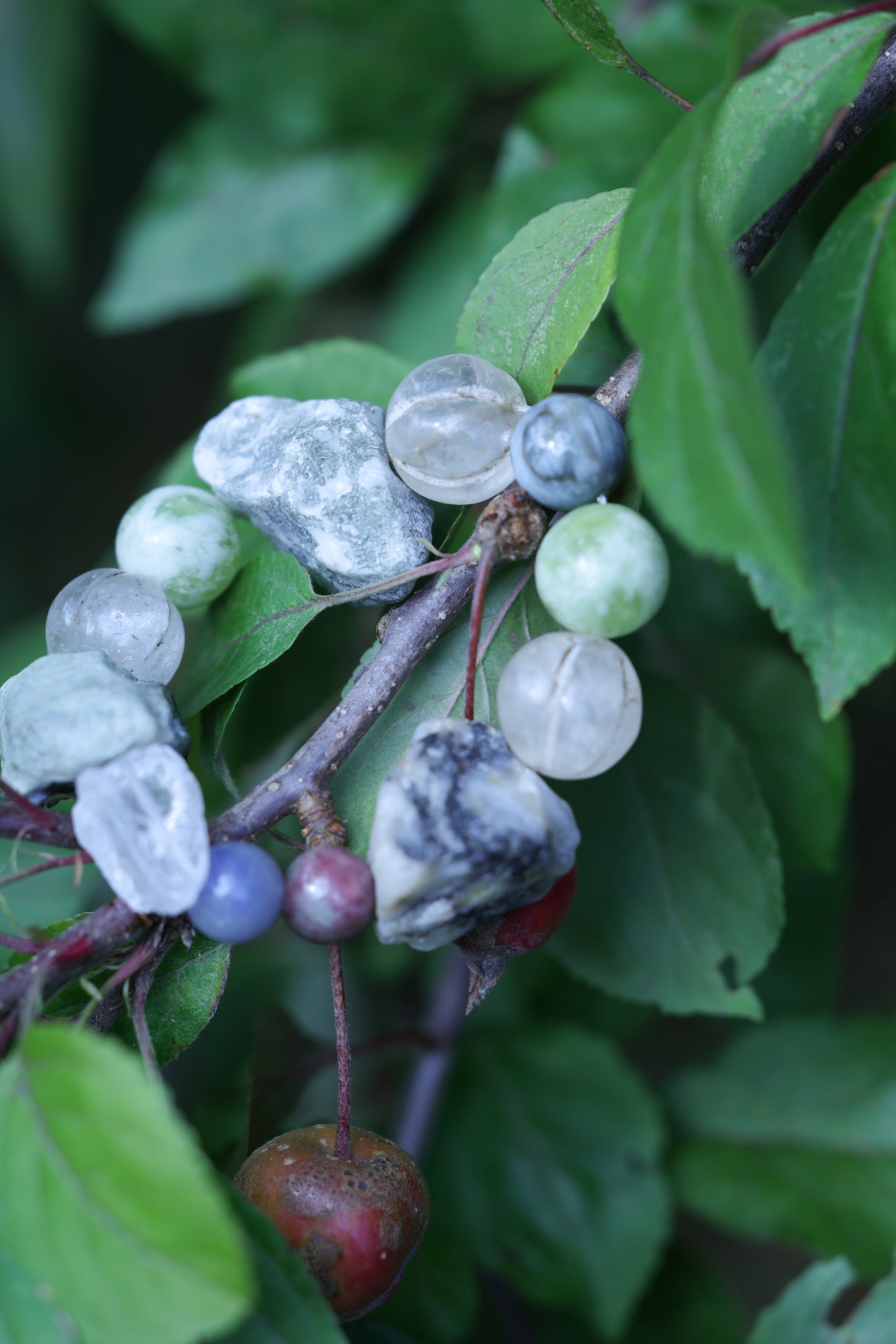 #21 🌿Witchwood Raw Stone Crystal Bracelet🌿
